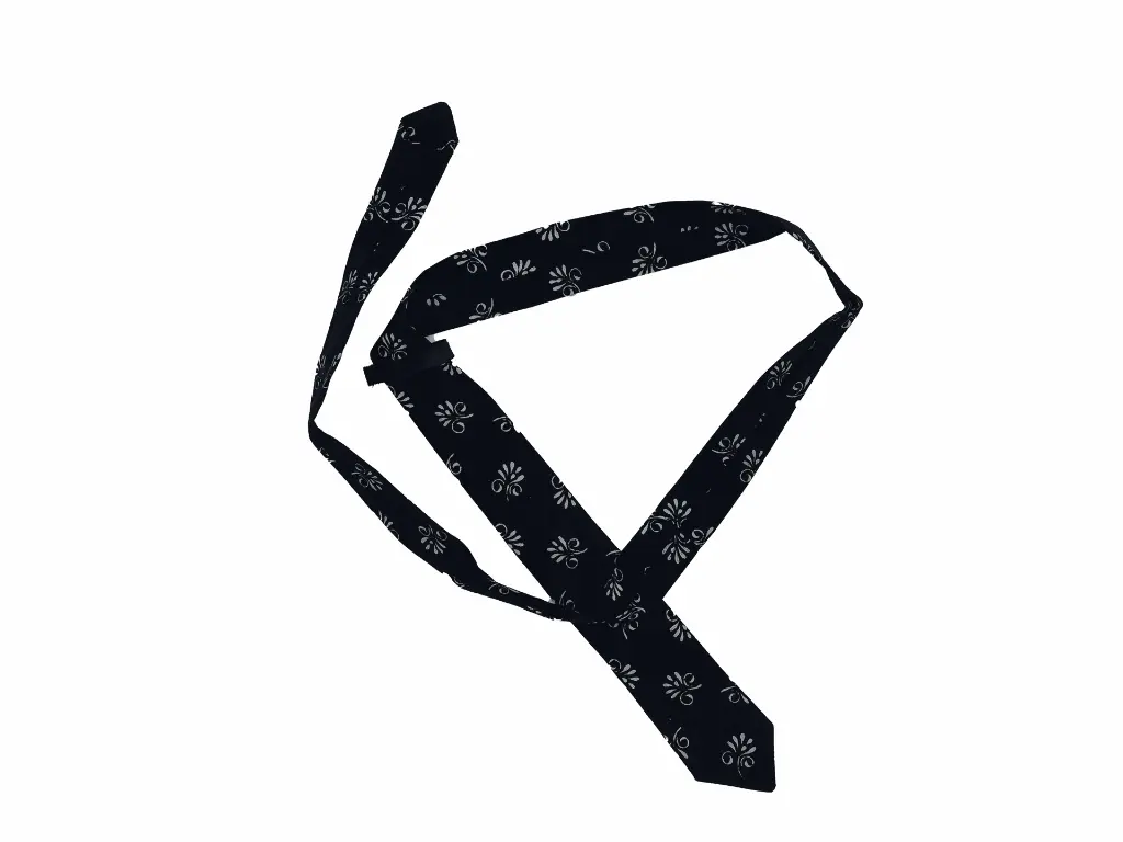 Krawatte lang.webp