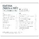 Israelowa zudoba a tróšt_RS.webp