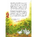Findus a kokot(1).webp