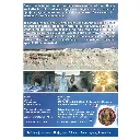 Sonina dešća_RS.webp