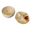 Wachsschmelzlampe - Sperling