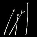 Federkielset 4er_2.webp