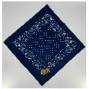 2025-07-25_Blaudruckserviette klein2.webp