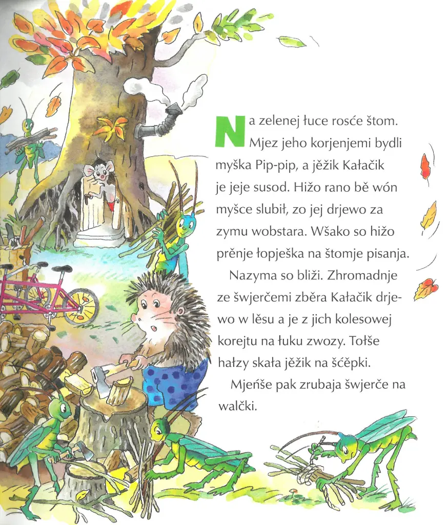 Wroblik Frido II_4.webp