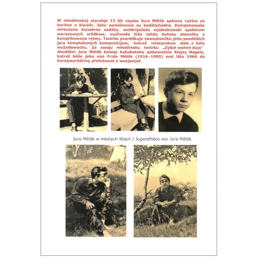 Zybol woheń duje - J. Mětšk_RS.webp