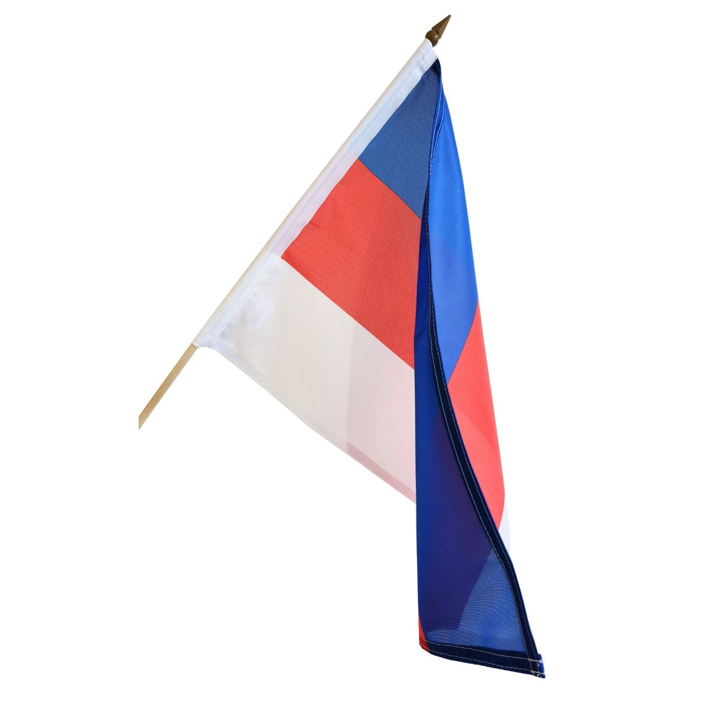 Fahne mit Stock 30 x 45