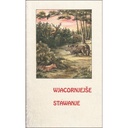 Wjacornjejše stawanje