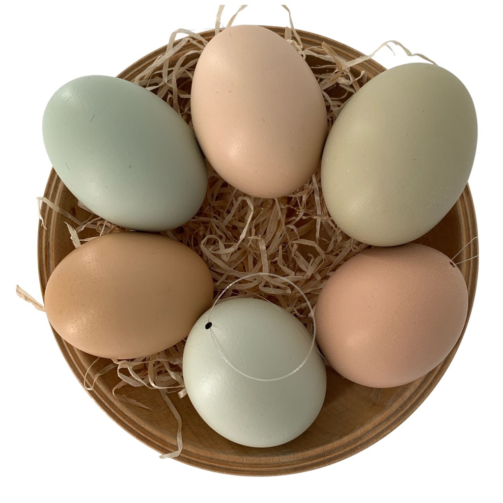 Ei-Rohling mit Bändchen (grün/braun)