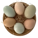 Ei-Rohling mit Bändchen (grün/braun)