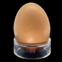Eierständer 4,5cm