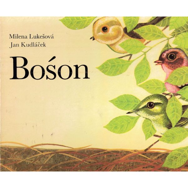 (A) Antiquariat- Bośon