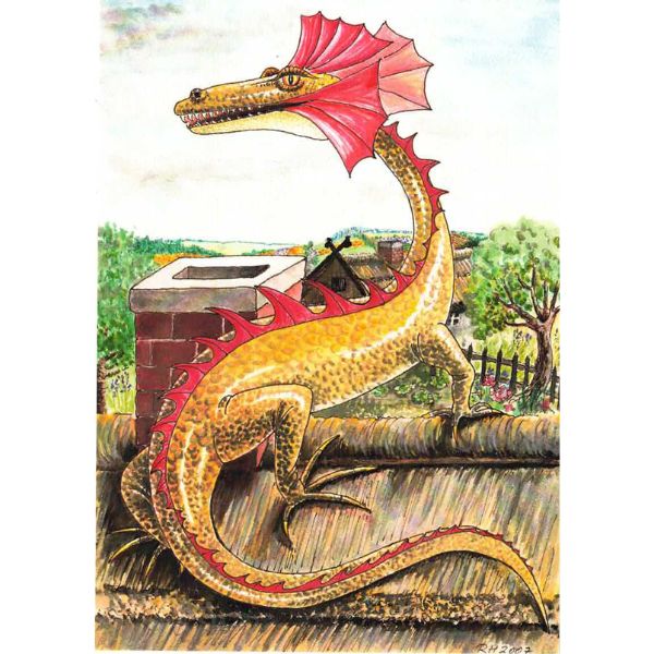Puzzle plon- Drache 266 Teile