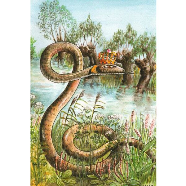 Puzzle Wužowy kral- Schlangenkönig 266 Teile