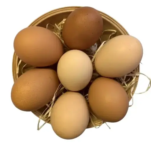 [SK] Ei-Rohling ohne Bändchen